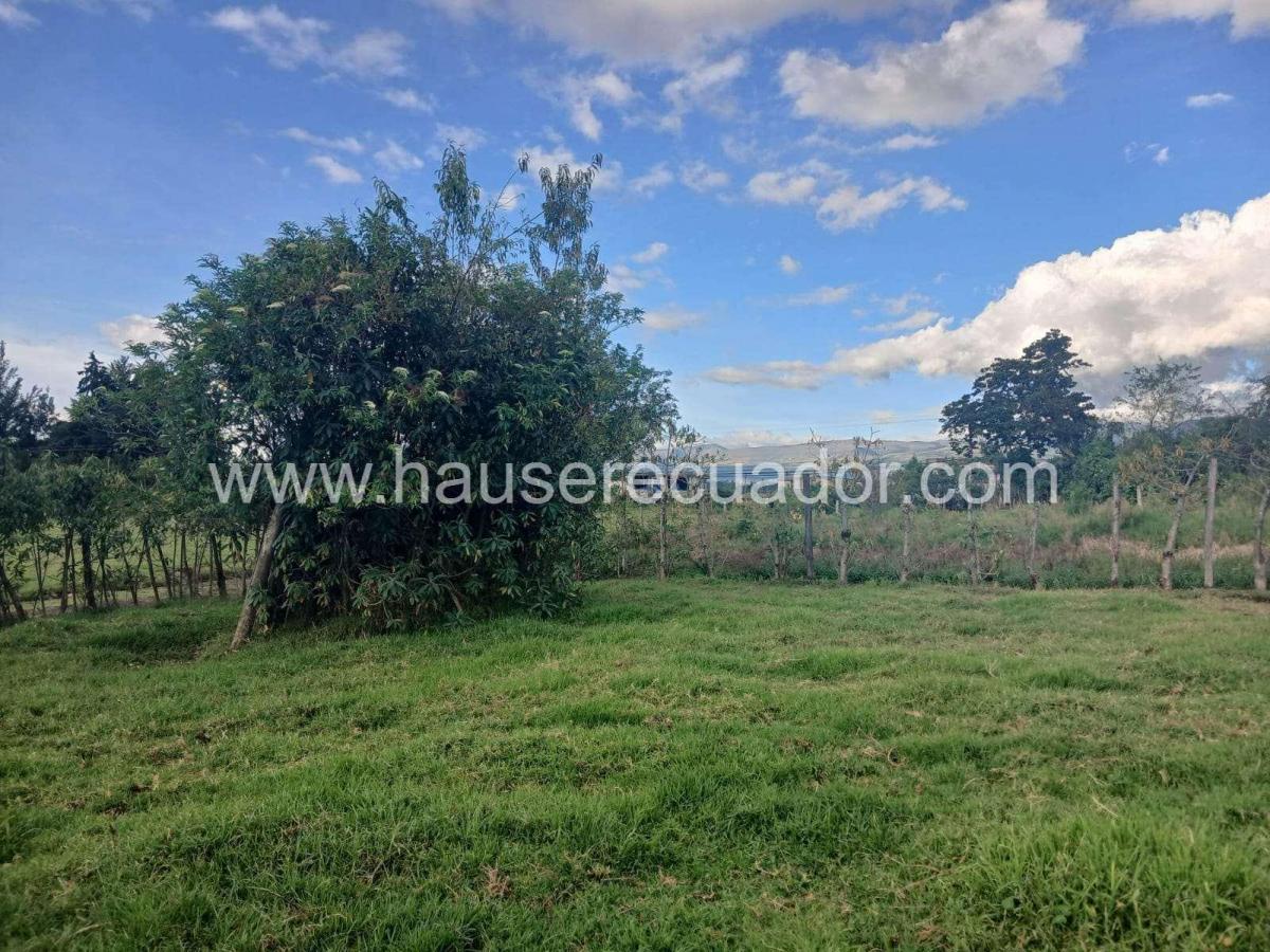 Terreno en Venta en Sangolquí 4.865 m² | Ideal Para Constructores E Inversionistas | Cos 45% — imagen 5