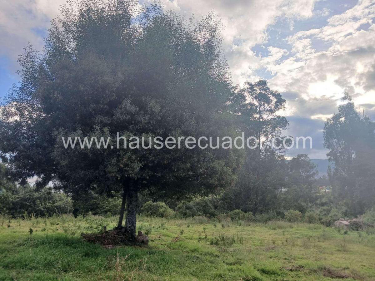 Terreno en Venta en Sangolquí 4.865 m² | Ideal Para Constructores E Inversionistas | Cos 45% — imagen 4