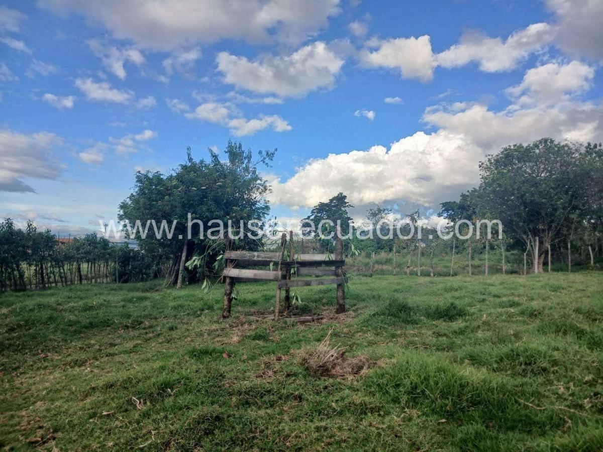 Terreno en Venta en Sangolquí 4.865 m² | Ideal Para Constructores E Inversionistas | Cos 45% — imagen 3