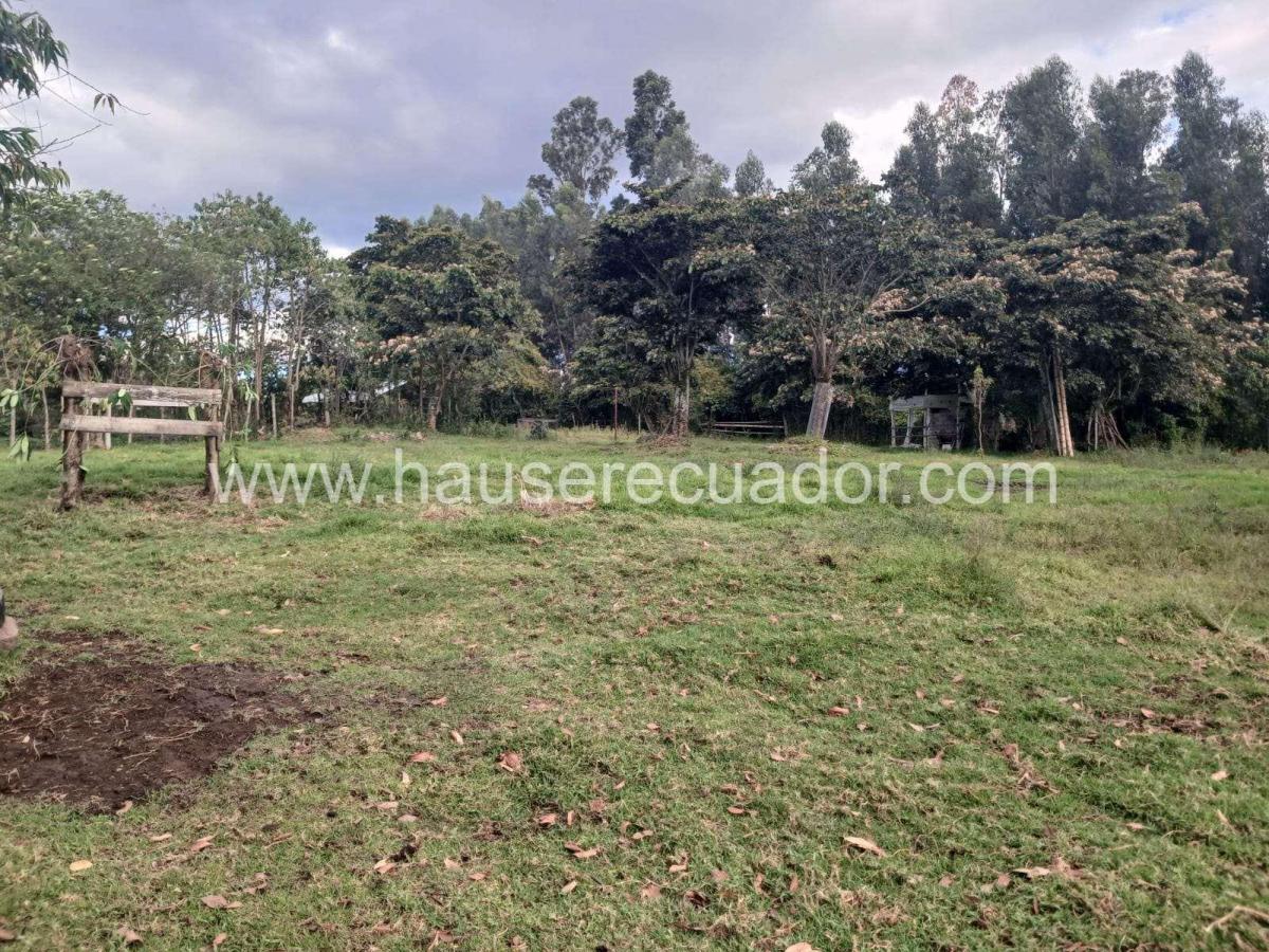 Terreno en Venta en Sangolquí 4.865 m² | Ideal Para Constructores E Inversionistas | Cos 45% — imagen 2