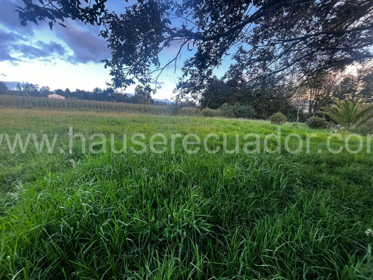 Amplio Terreno Plano en La Tola, Píntag, con Gran Potencial de Desarrollo — imagen 9