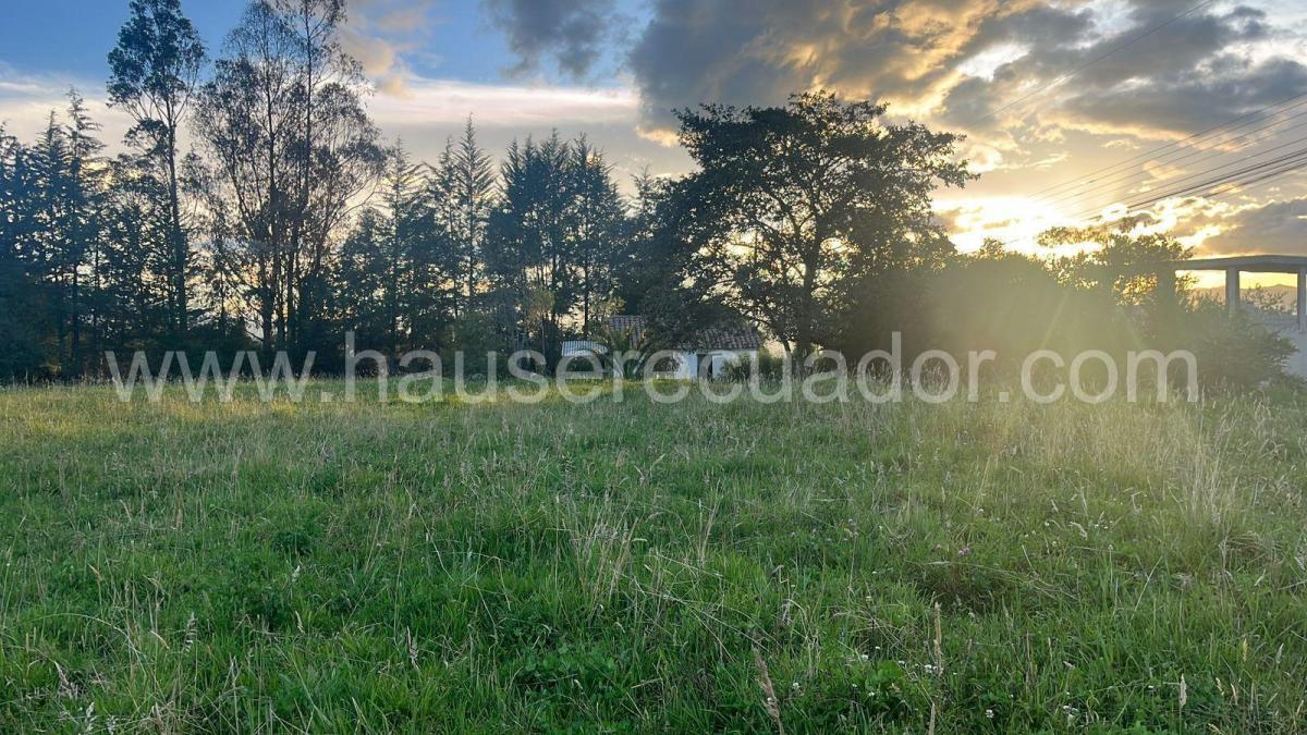 Amplio Terreno Plano en La Tola, Píntag, con Gran Potencial de Desarrollo — imagen 6