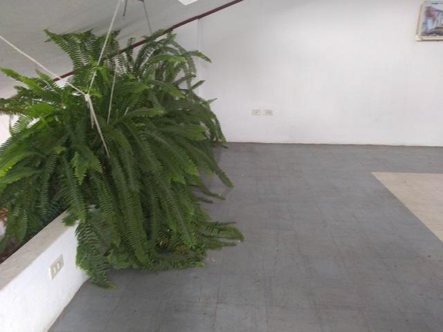 Vendo Terreno de 3033 m, con Casa y Local Comercial en Checa — imagen 6