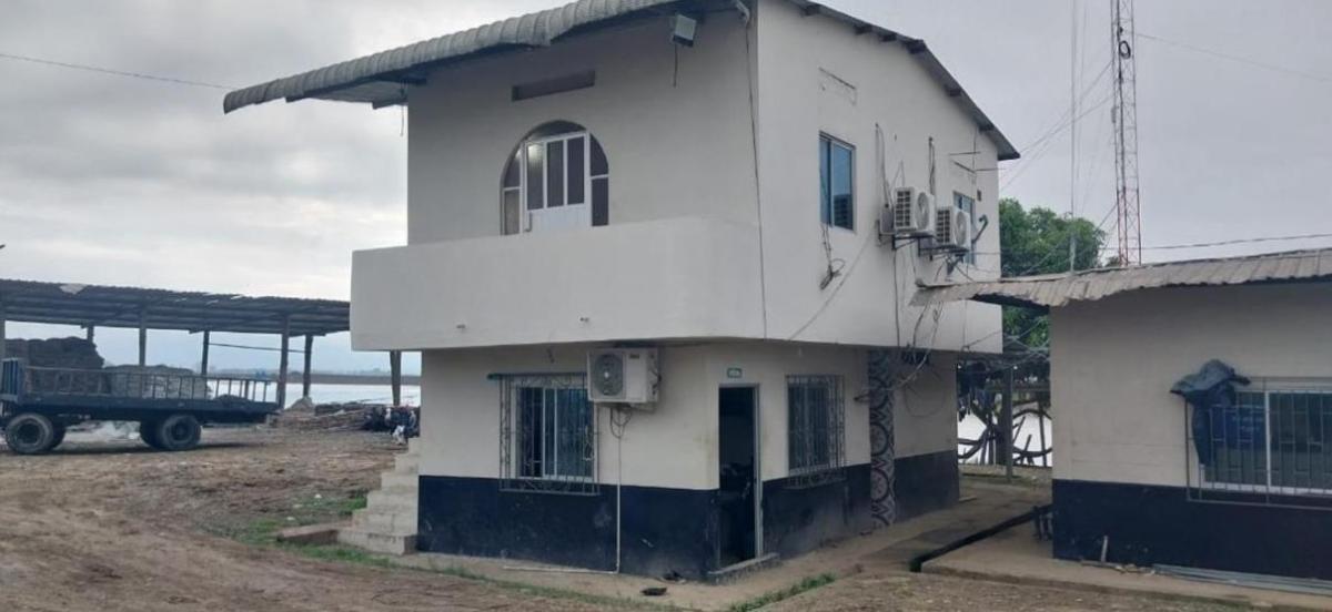 Camaronera Productiva en Venta – 204 Hectáreas | Tenguel, Guayas, Guayas — imagen 4