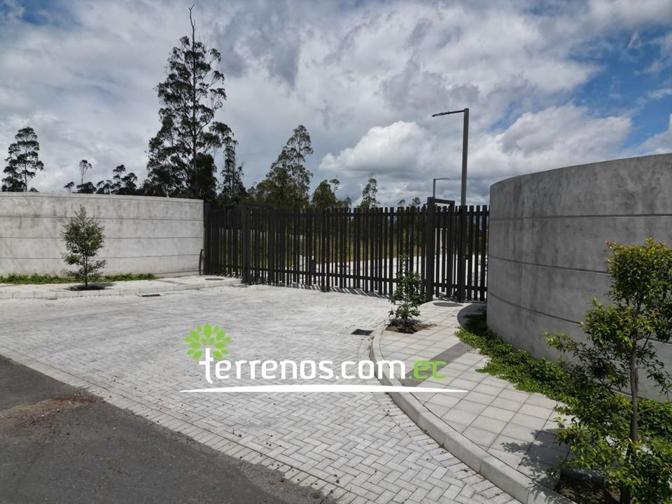 Venta Terreno en Llano Chico 1.000 m² Urb. Privada El Arupo II, 15 Min de Nayon — imagen 3
