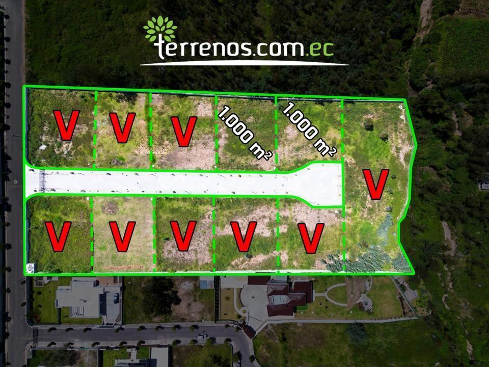 Venta Terreno en Llano Chico 1.000 m² Urb. Privada El Arupo II, 15 Min de Nayon — imagen 2