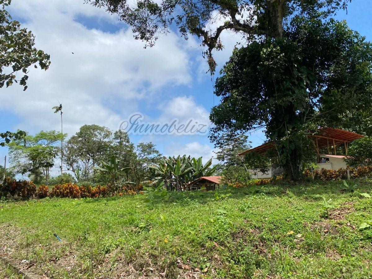 Terreno de 600 m² en Venta en Centro de Pedro Vicente Maldonado - Urbanización Privada — imagen 5