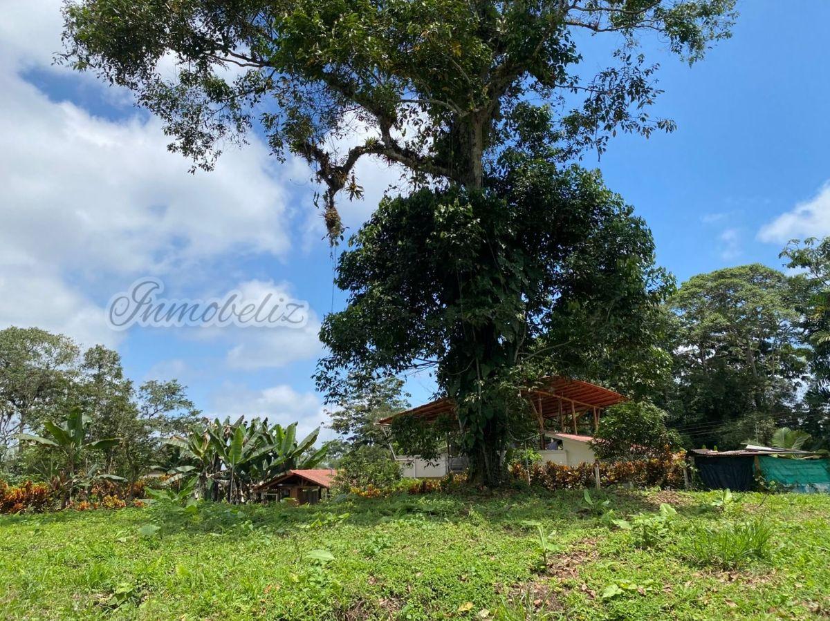Terreno de 600 m² en Venta en Centro de Pedro Vicente Maldonado - Urbanización Privada — imagen 3