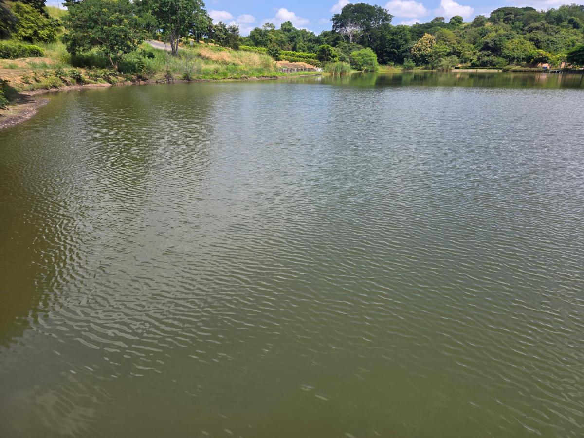 Vendo Terrenos en Via a La Costa, Lomas del Bosque, Urbanización con Guardiania 24/7, Km. 32.5, Guayas — imagen 10