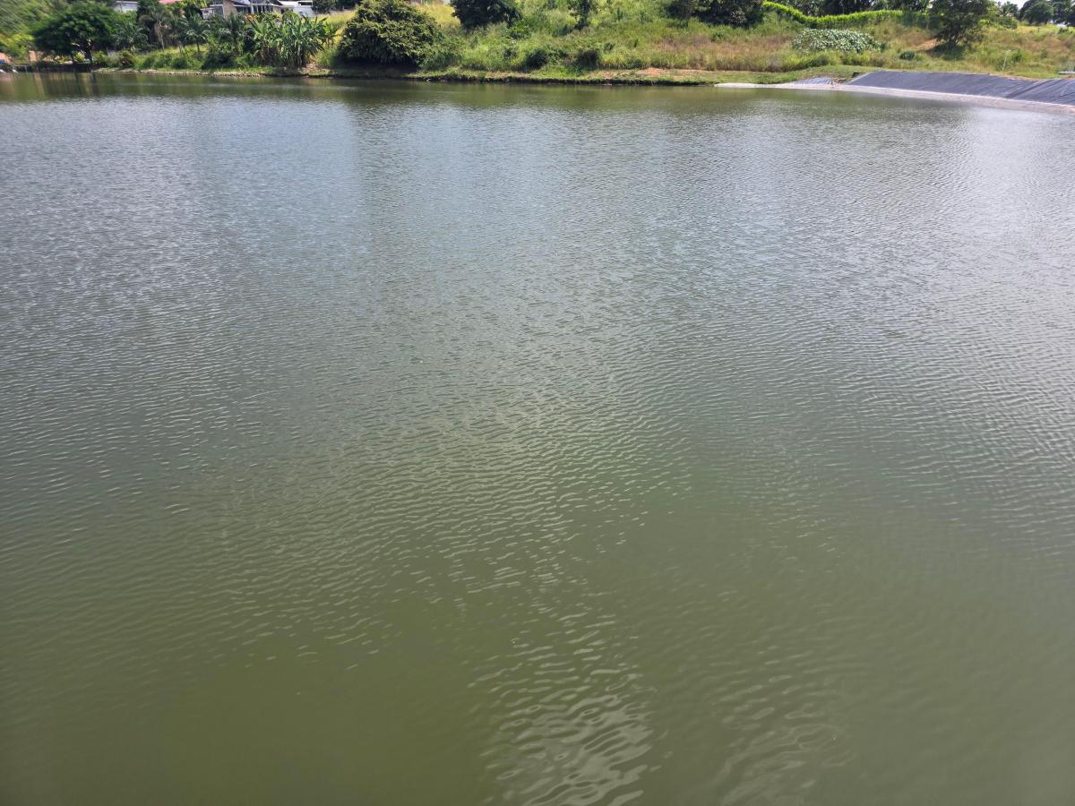 Vendo Terrenos en Via a La Costa, Lomas del Bosque, Urbanización con Guardiania 24/7, Km. 32.5, Guayas — imagen 9