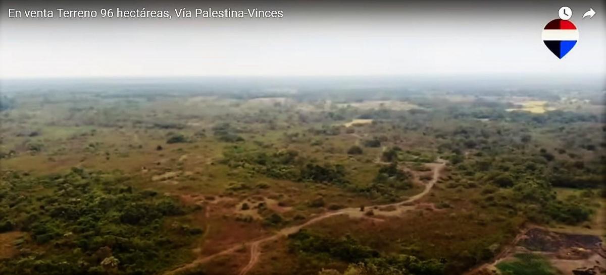 En Venta Terreno 96 Hectáreas, Vía Palestina - Vinces - J. Zavala, Guayas — imagen 9