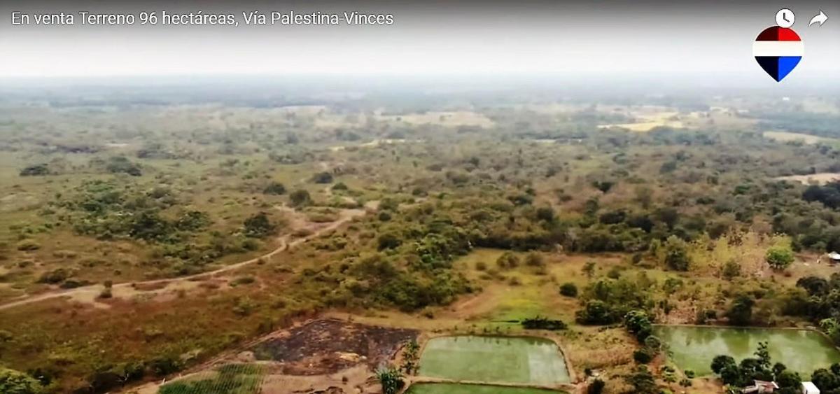 En Venta Terreno 96 Hectáreas, Vía Palestina - Vinces - J. Zavala, Guayas — imagen 8