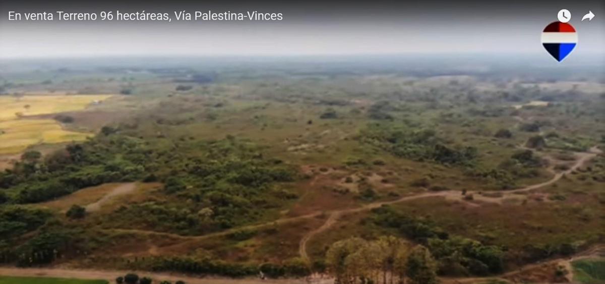 En Venta Terreno 96 Hectáreas, Vía Palestina - Vinces - J. Zavala, Guayas — imagen 6