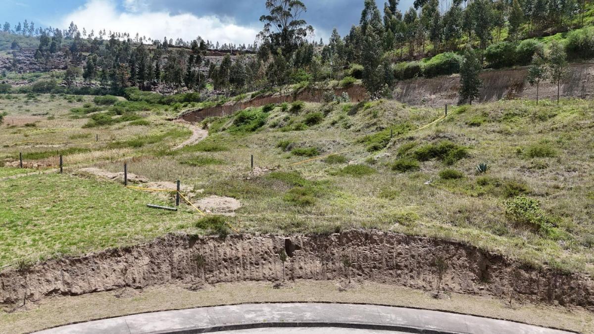 Terreno de 7835 m² en Venta en Pifo — imagen 7