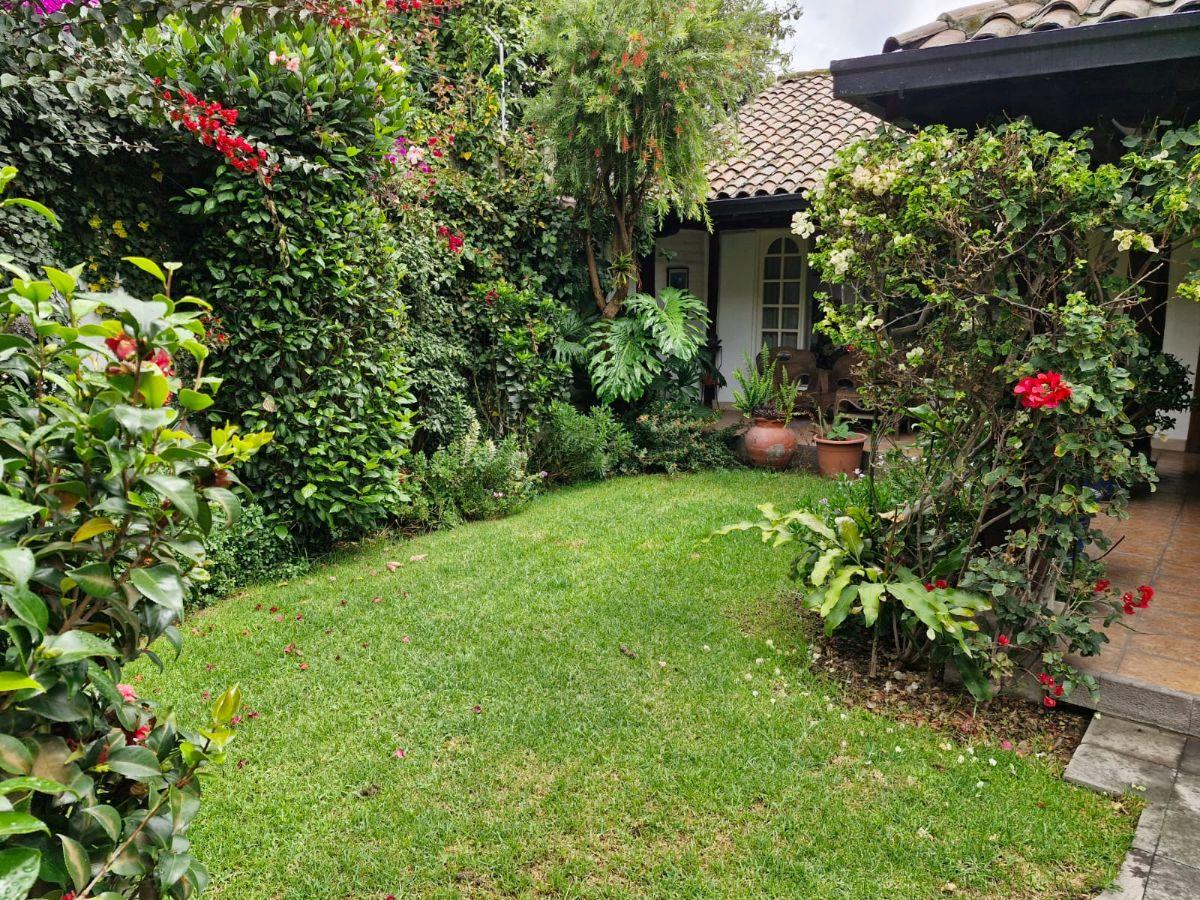 Venta Casa Estílo Rústico Urb Condado — imagen 9