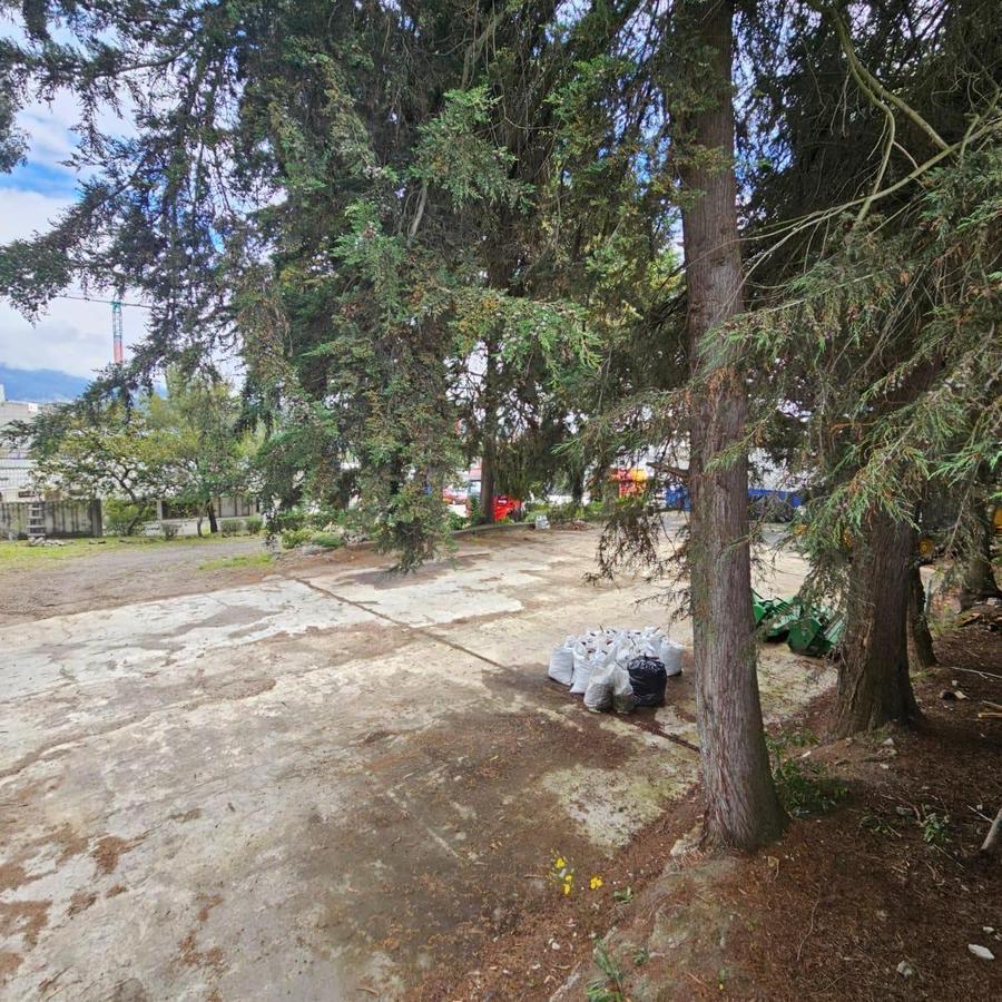 Terreno de 5.000 m² en Renta en El Sector de La Galo Plaza — imagen 9