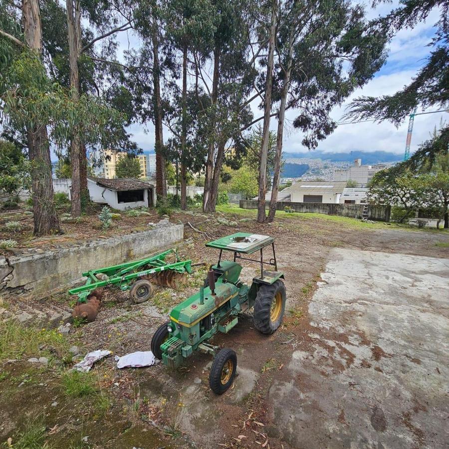 Terreno de 5.000 m² en Renta en El Sector de La Galo Plaza — imagen 8