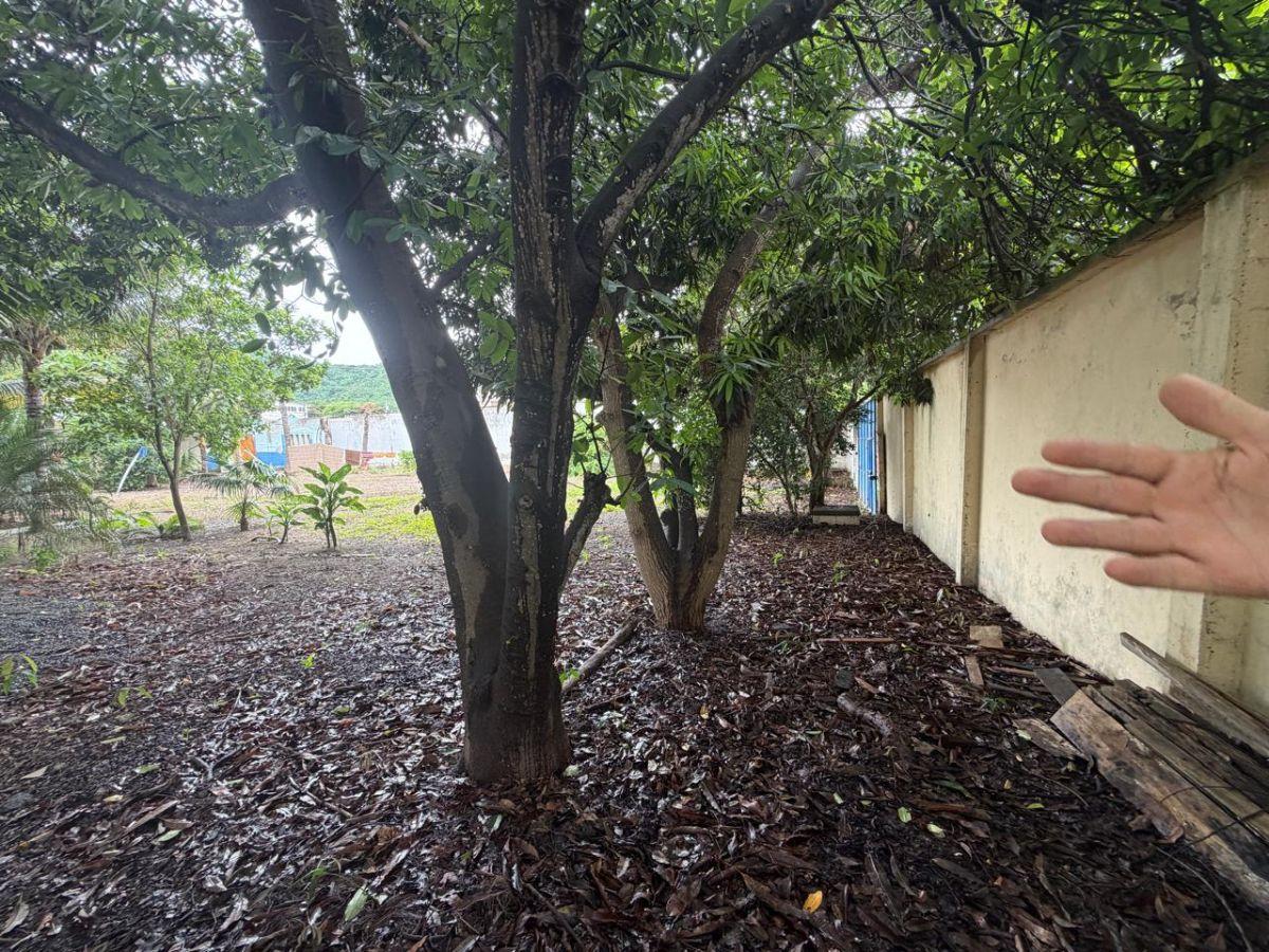 Venta de Terreno en Av Principal / Bahía de Caráquez - Manabí - J. Delgado, Manabí — imagen 9