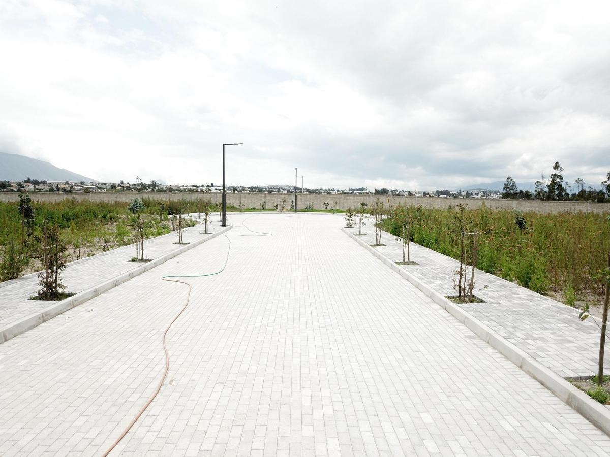 Terreno en Venta 1.134 m² Urb. El Arupo I, Llano Chico, a 5 Min Av Simón Bolívar — imagen 6