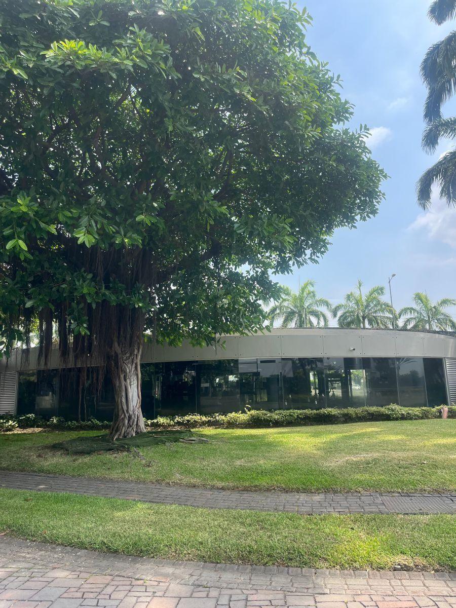 Mocoli Isla del Rio Casa por Estrenar en Agosto 2026, Guayas — imagen 3