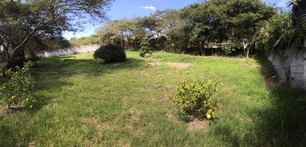 Vendo Tumbaco 1.000 m² Urbanizacion Privada — imagen 8