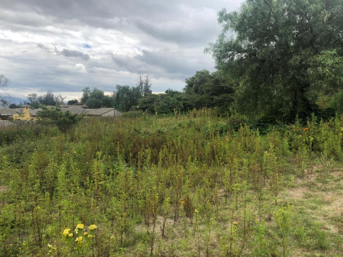 Terreno en Venta 24.405 m² en Checa — imagen 9