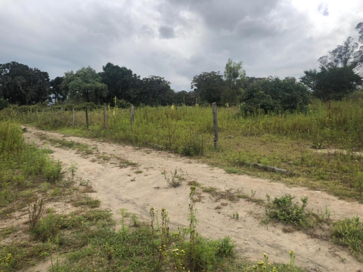 Terreno en Venta 24.405 m² en Checa — imagen 8