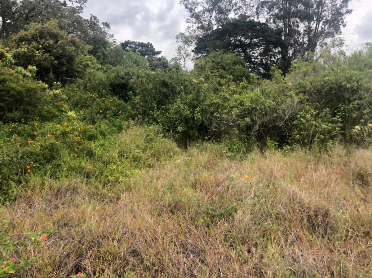 Terreno en Venta 24.405 m² en Checa — imagen 7