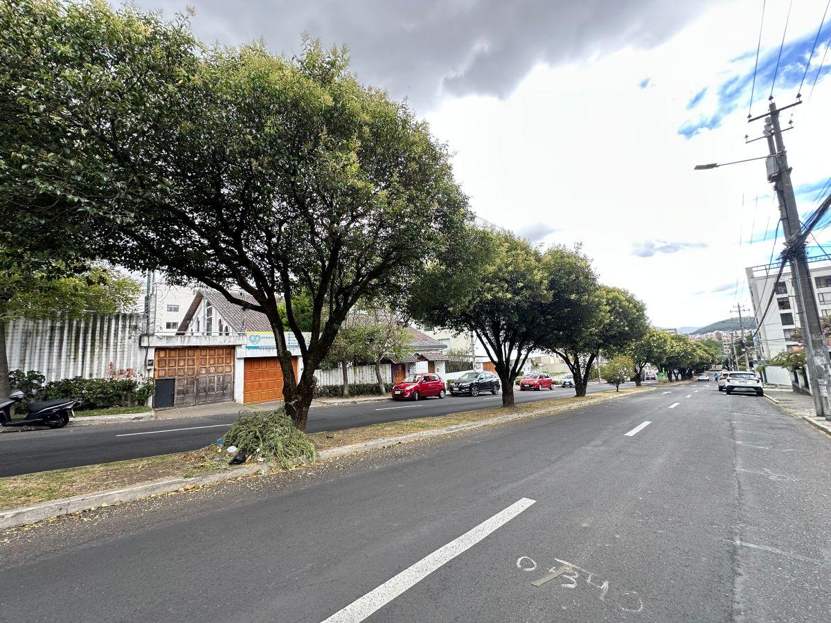 En Venta Espectacular Terreno Granda Centebo Para Proyectos Inmobiliarios — imagen 7