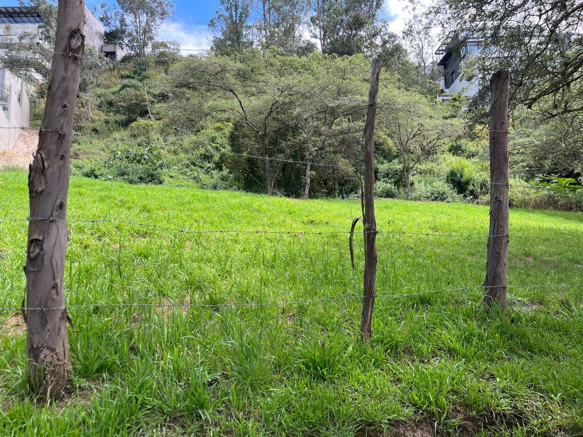 Cumbayá Pillagua Terreno de Venta Hermosa Vista — imagen 9