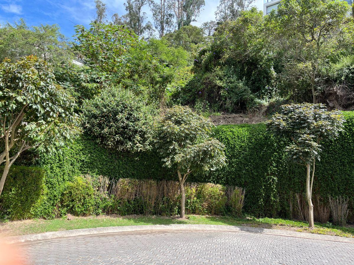 Cumbayá Pillagua Terreno de Venta Hermosa Vista — imagen 8