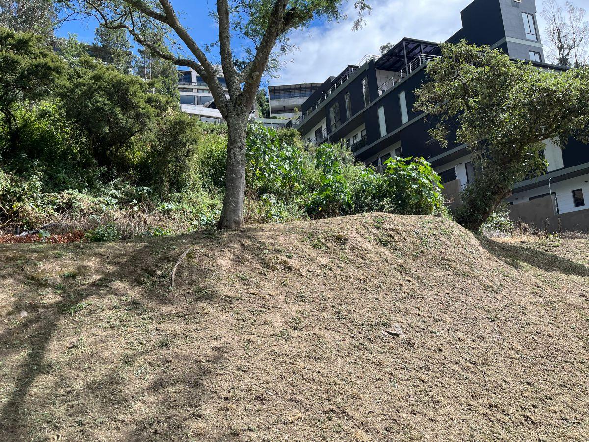 Cumbayá Pillagua Terreno de Venta Hermosa Vista — imagen 7