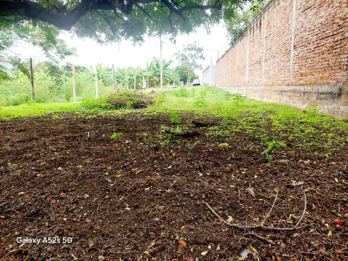 Venta de Terreno de Oportunidad en Zona Norte Portoviejo, Manabí — imagen 3