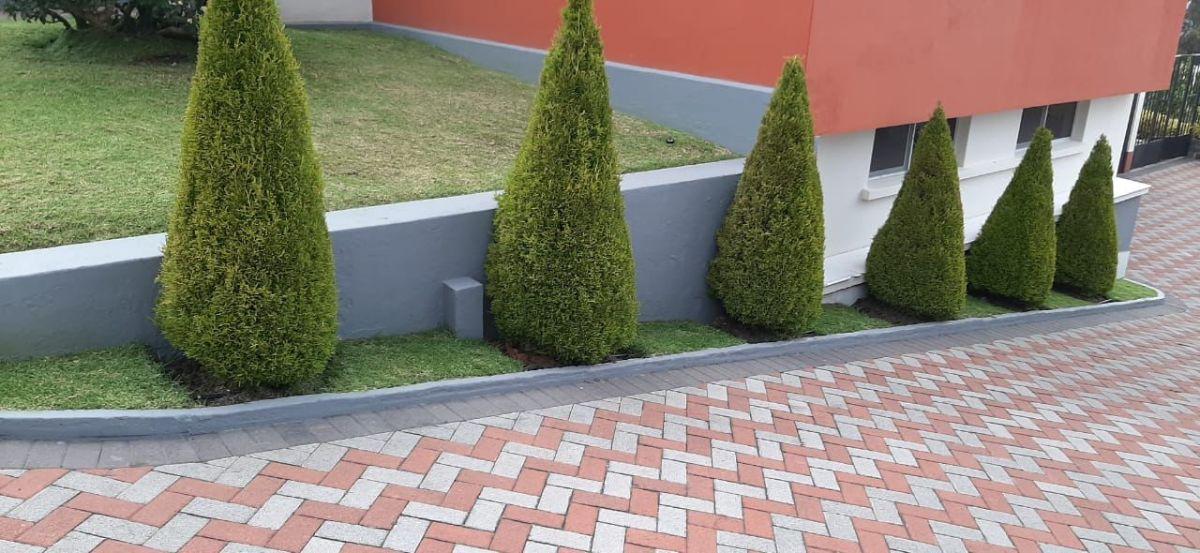 Exclusiva Propiedad en Nayón: 1,279 m² de Naturaleza con Potencial Constructivo — imagen 6