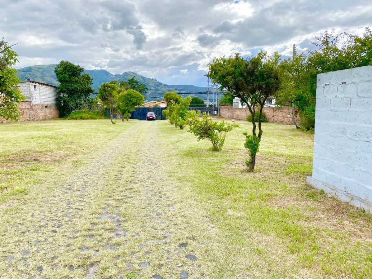 Terreno de Venta Zona Comercial — imagen 10
