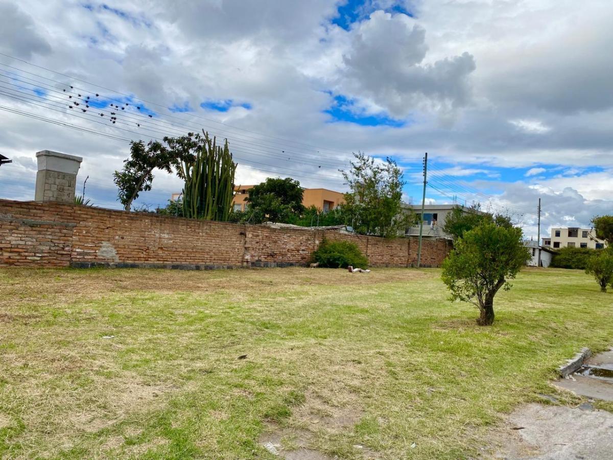 Terreno de Venta Zona Comercial — imagen 9