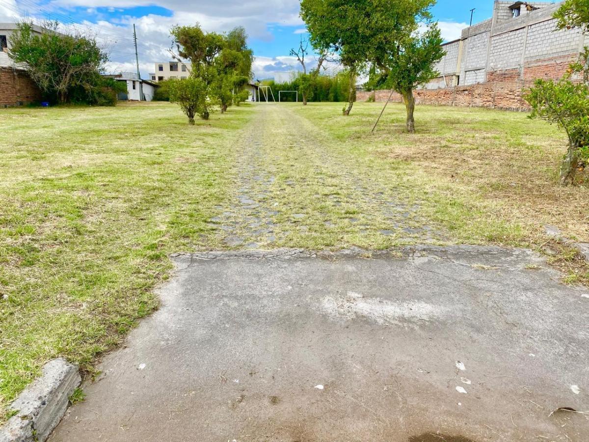 Terreno de Venta Zona Comercial — imagen 8