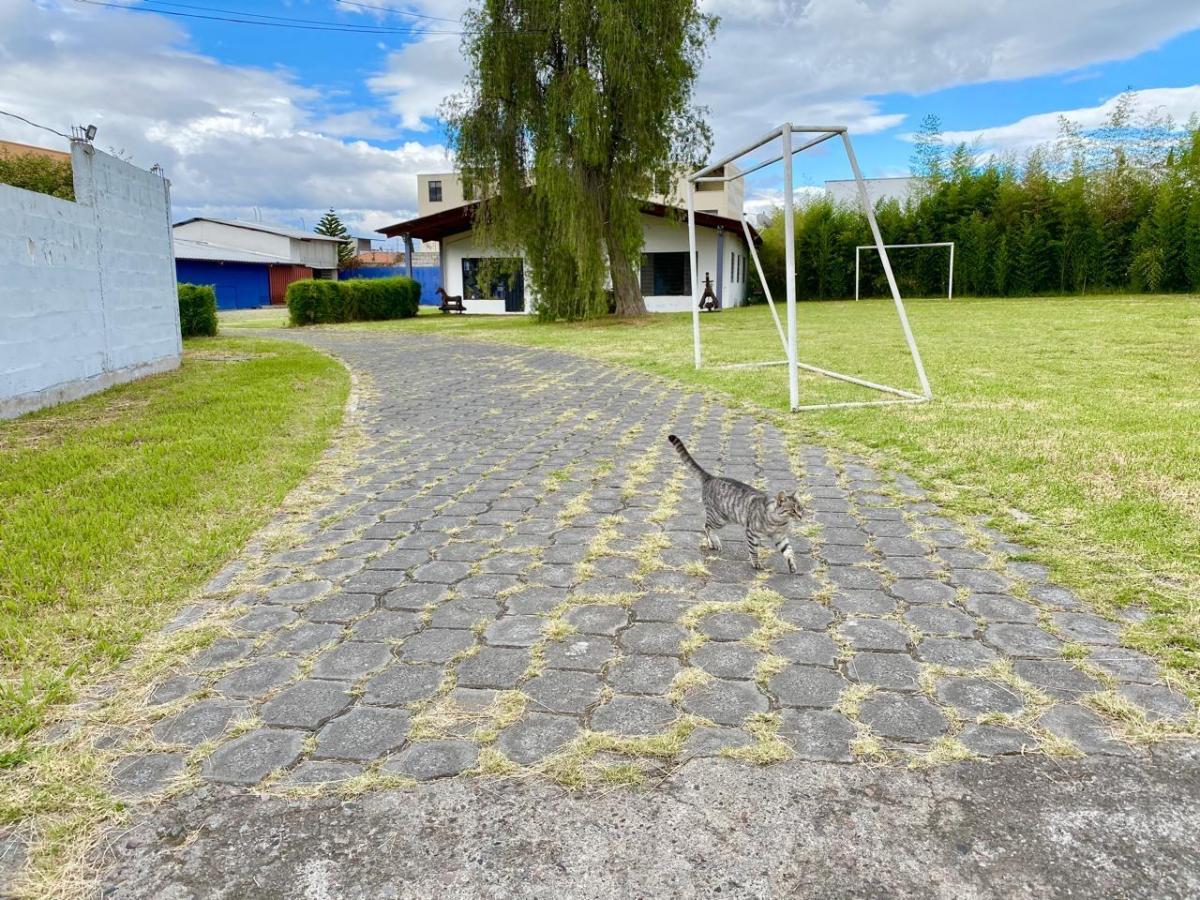Terreno de Venta Zona Comercial — imagen 6