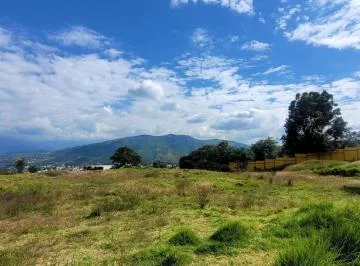 Terreno en Arriendo Para Distinto Tipo de Negocio — imagen 3