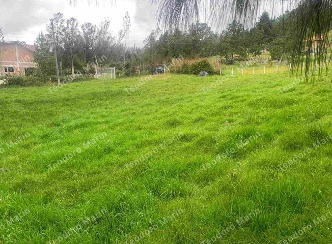 Terreno en venta en Pastaza — imagen 2
