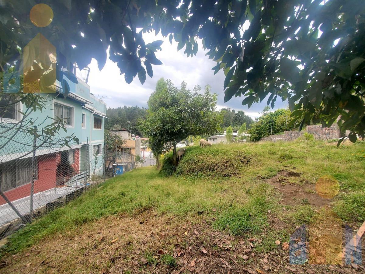 Casa con Amplio Terreno de Venta en El Valle de Los Chillos Sector Alangasí — imagen 9