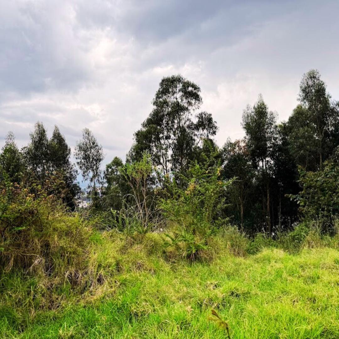 Terreno en Venta 2862 m² Conocoto La Salle — imagen 7
