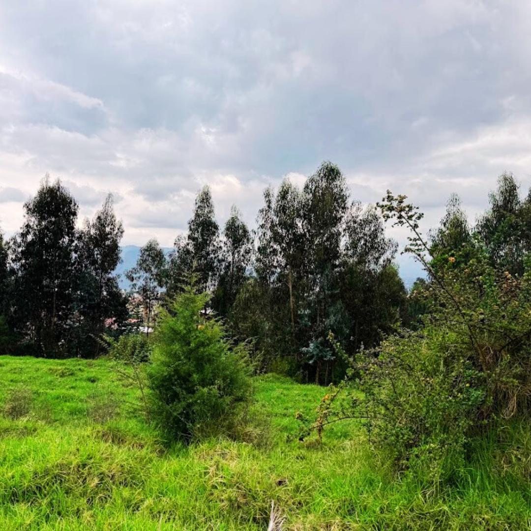 Terreno en Venta 2862 m² Conocoto La Salle — imagen 6