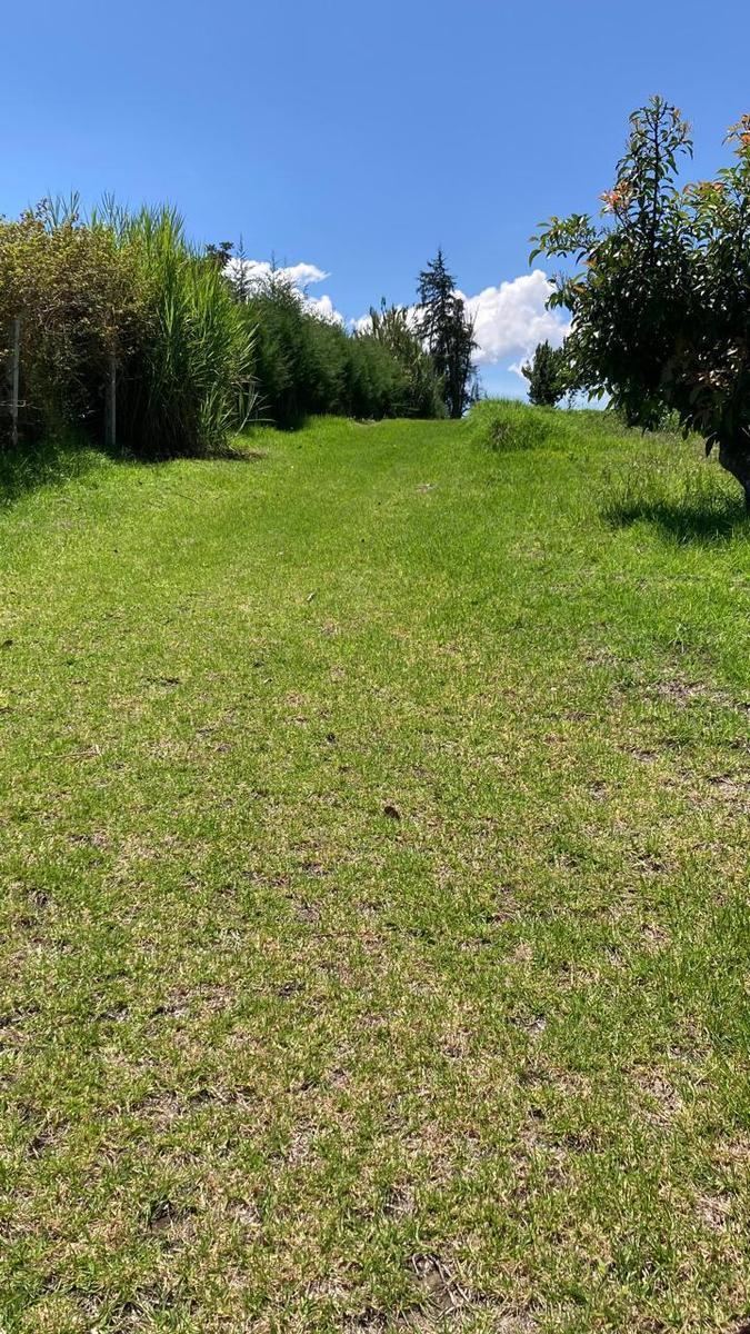Finca de 8 Hectáreas en Yaruquí, Barrio Otón — imagen 8