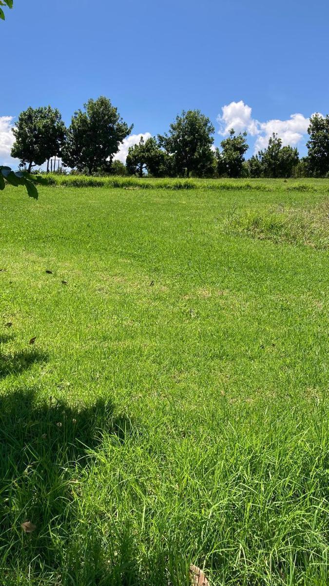 Finca de 8 Hectáreas en Yaruquí, Barrio Otón — imagen 7