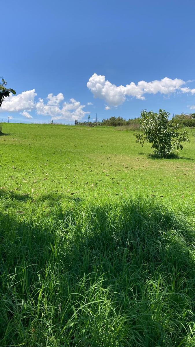 Finca de 8 Hectáreas en Yaruquí, Barrio Otón — imagen 6