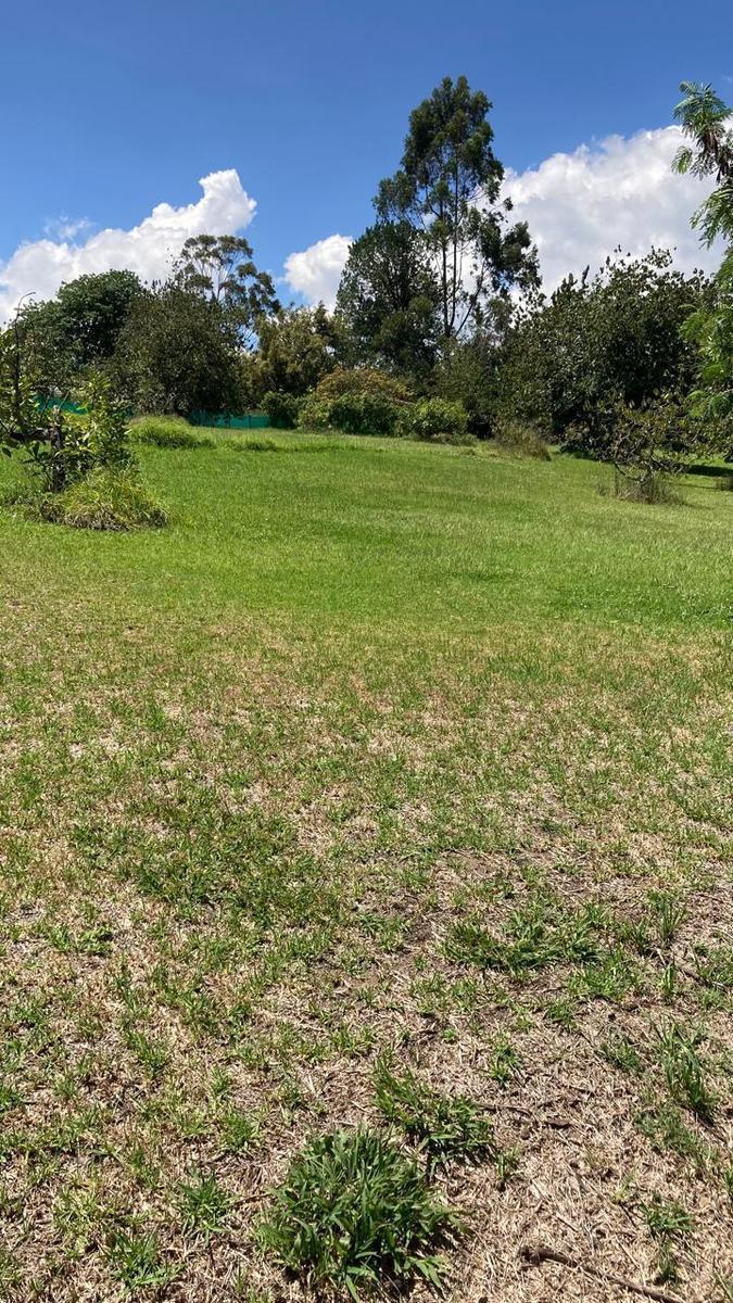 Finca de 8 Hectáreas en Yaruquí, Barrio Otón — imagen 5