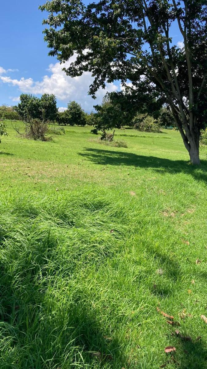 Finca de 8 Hectáreas en Yaruquí, Barrio Otón — imagen 3