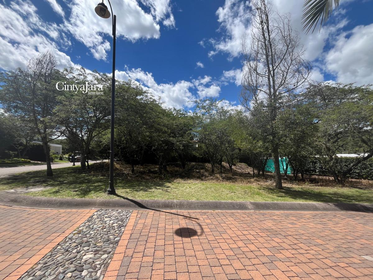 La Viña, Urbanizacion de Lujo, Terreno Unifamiliar, 1100 m² — imagen 10