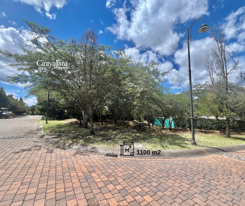 La Viña, Urbanizacion de Lujo, Terreno Unifamiliar, 1100 m² — imagen 9